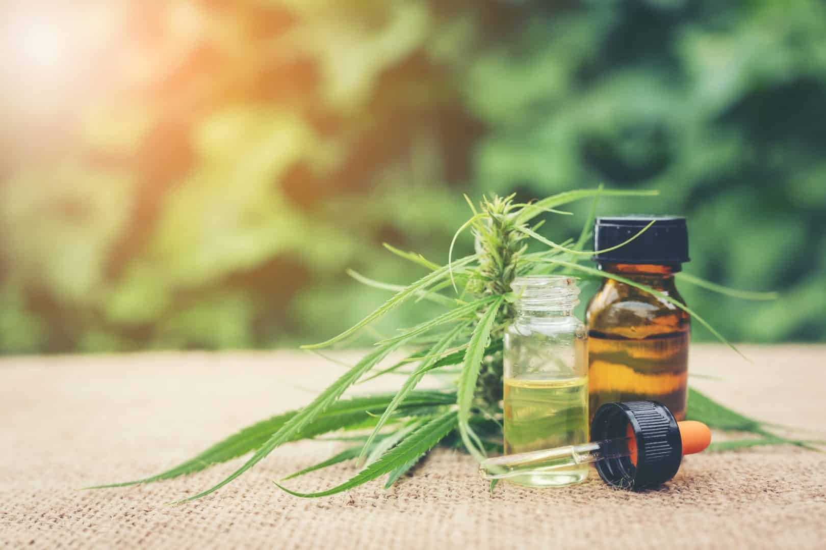 How To Get A Medical Cannabis Prescription
