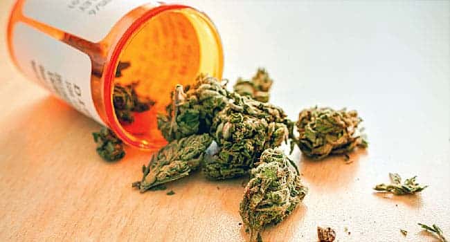 Online Medical Marijuana Prescriptions Are Convenient And Hassle-Free by Cann I Help