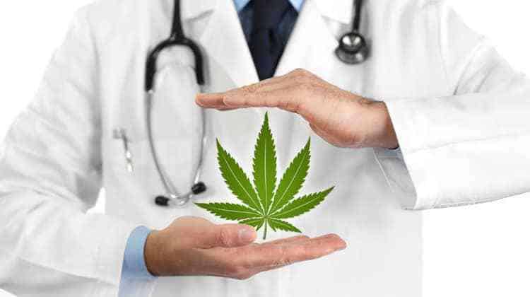 Telehealth & Digitisation: How They Benefit The Medical Cannabis Industry by Cann I Help