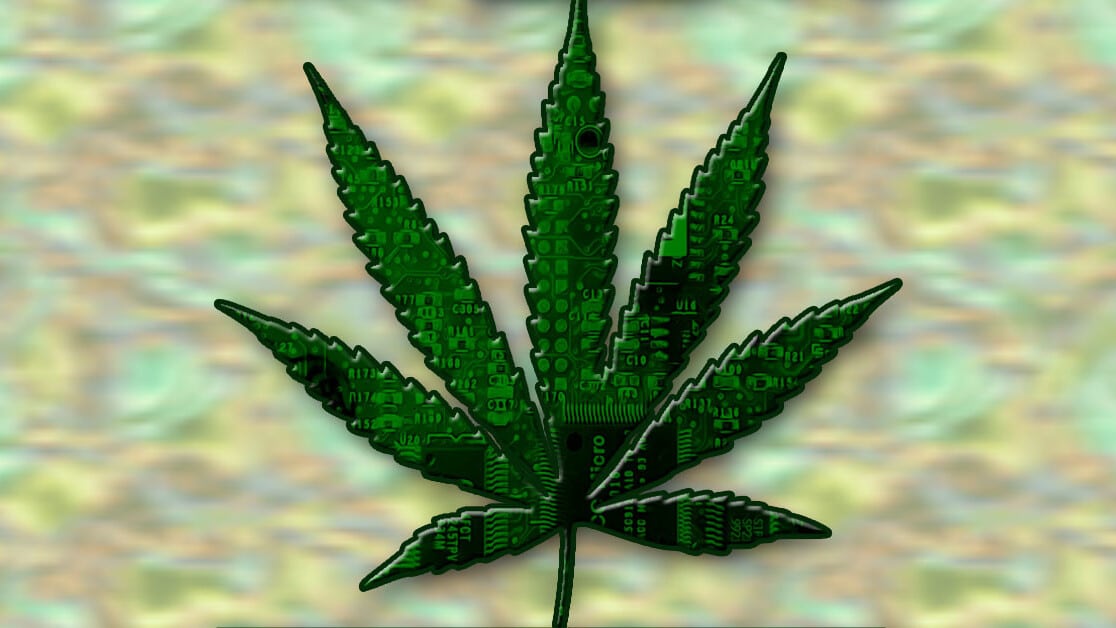 Discover Your Treatment Options with A Cannabis Treatment Clinic in Australia by Cann I Help
